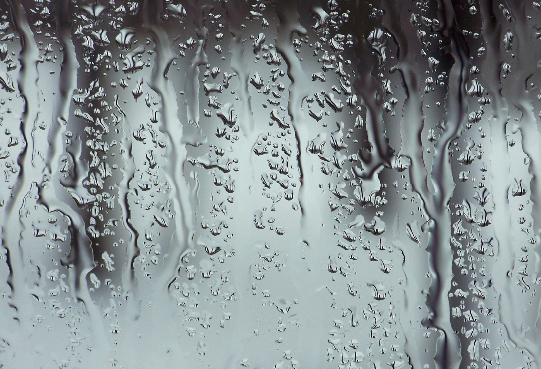 Water and damp built up in housing property because building managers didn’t install a mould repellant shower pod.