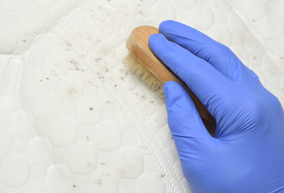 Person diligently cleaning hidden mould spores from a mattress as a preventive health measure.