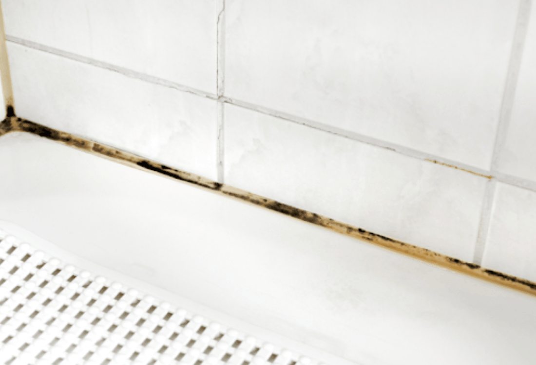 How-To-Get-Rid-Of-Black-Mould-In-A-Shower-Cubicle