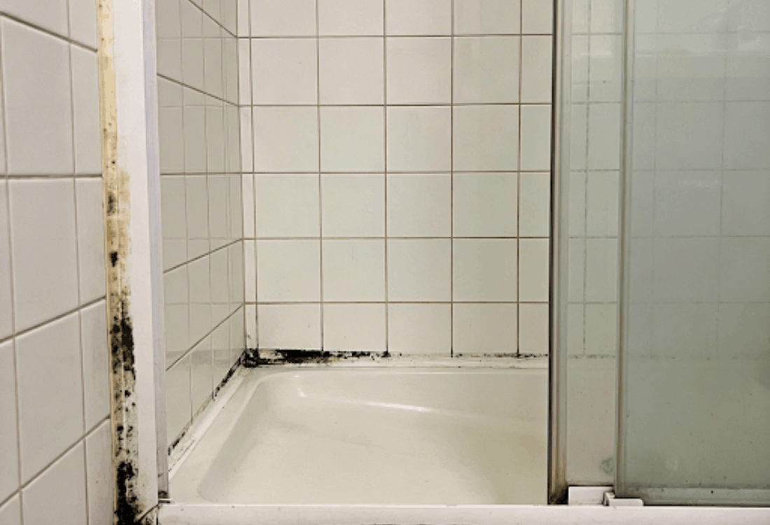 How-To-Prevent-Mould-In-Shower-Cubicles