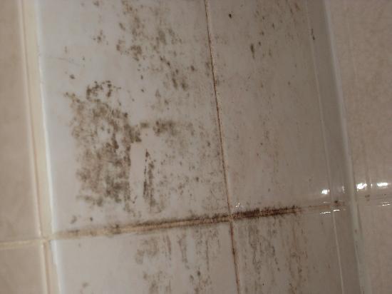 Stop Your Bathroom Walls Deteriorating Thanks To Water-Tight Shower Pods - new
