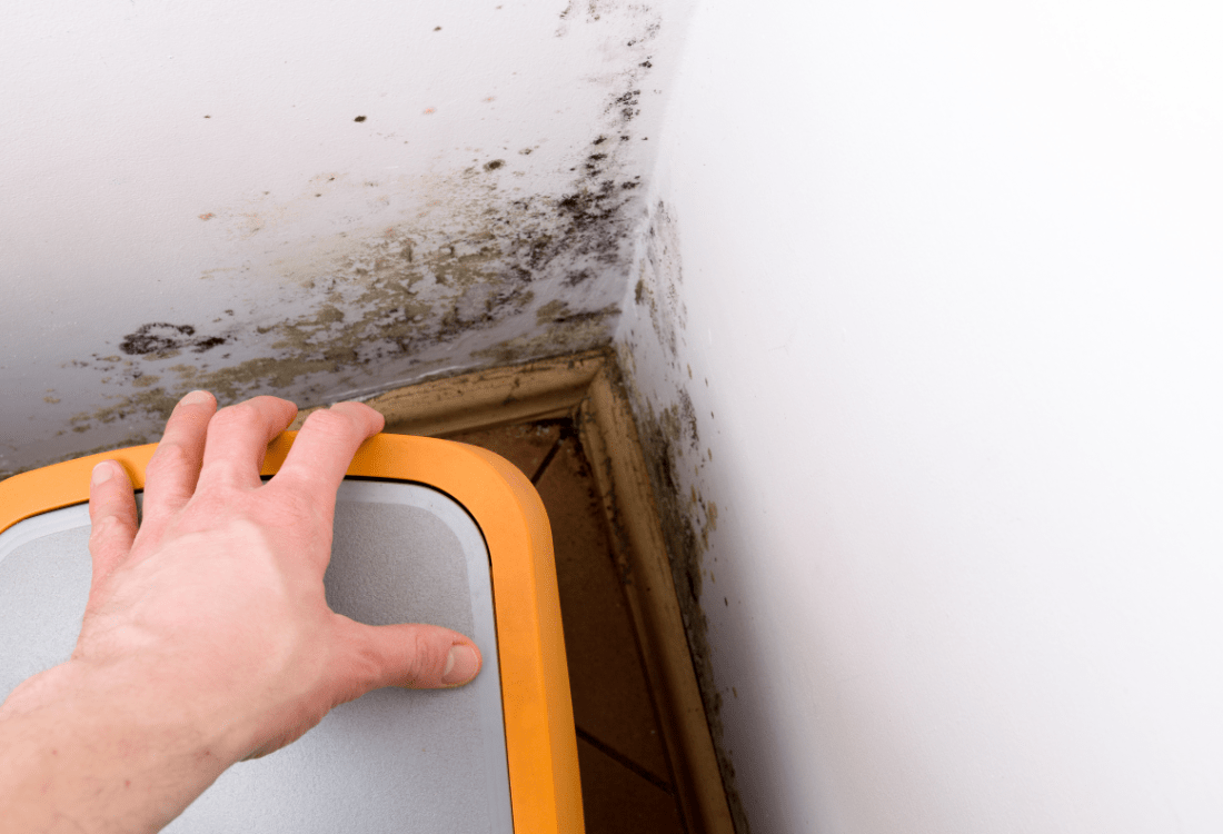 A male's hand revealing hidden mould growing behind a piece of furniture