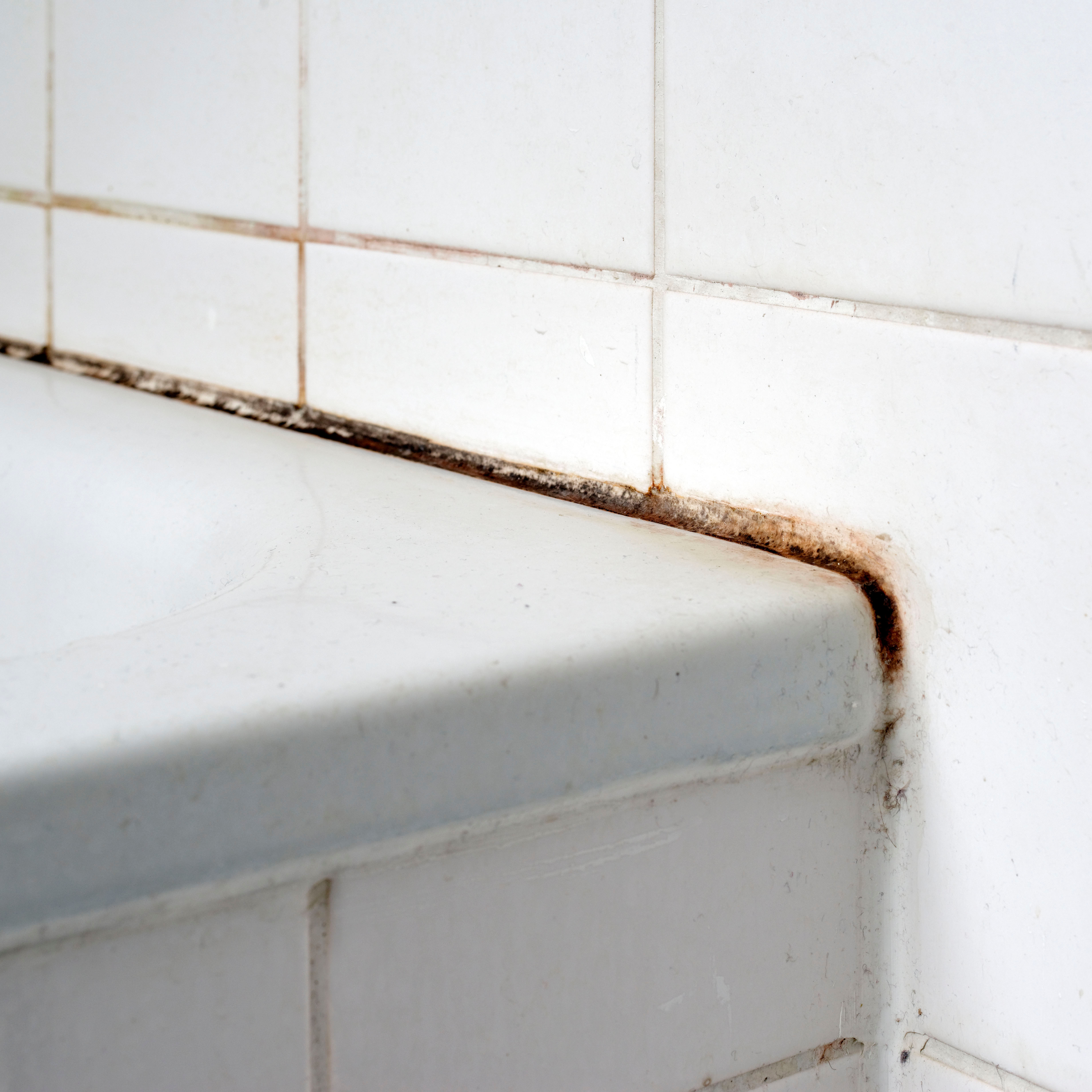 how-to-tackle-a-bathroom-overrun-with-mould
