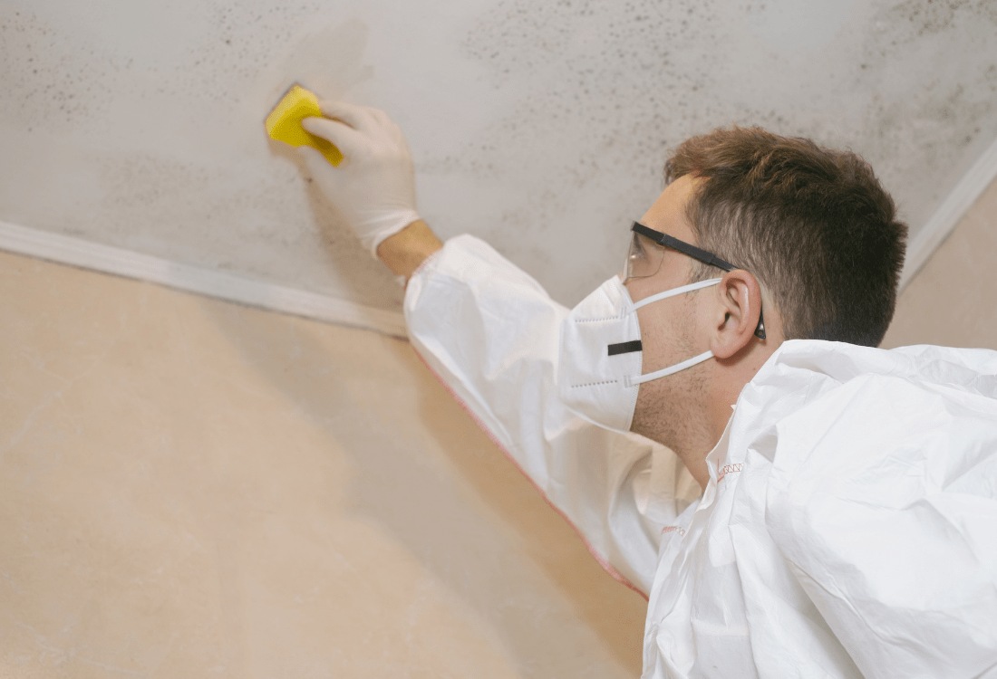 a guy tackling the battle with mould in Devon housing 