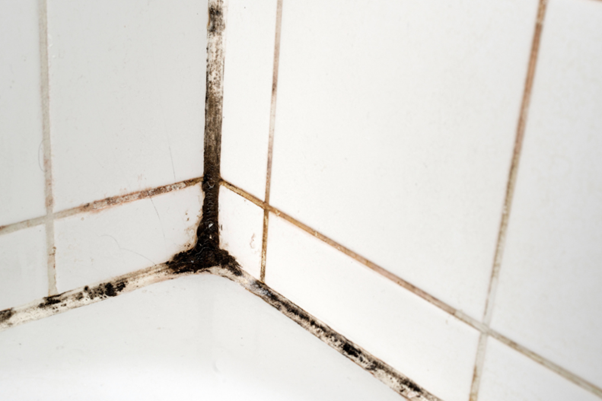 Black mould buildup along shower tile grout in a bathroom corner, showing why homeowners need to know how to get rid of mould in shower spaces.