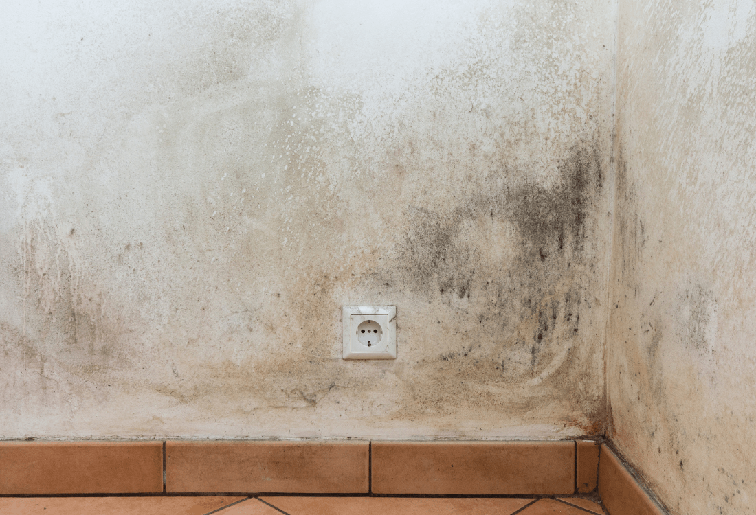 A bathroom wall covered in mould due to the lack of ventilation, making the house unhealthy. 