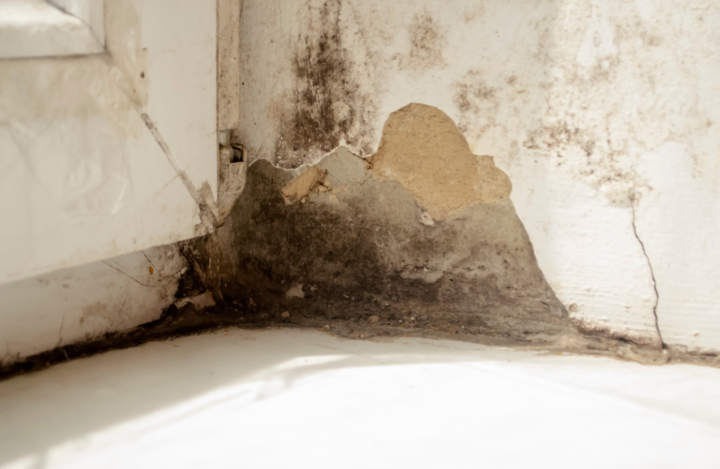 An image of dangerous black mould in the bathroom