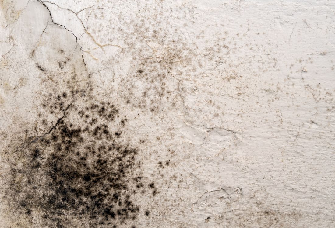 Black mould on a bathroom wall connoting the UK's damp and mould problem.